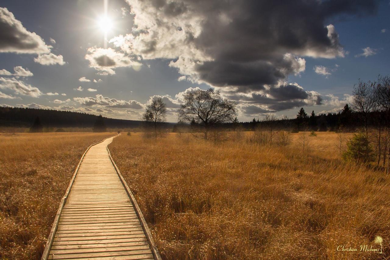 Domaine Des Hautes Fagnes 4* Ovifat